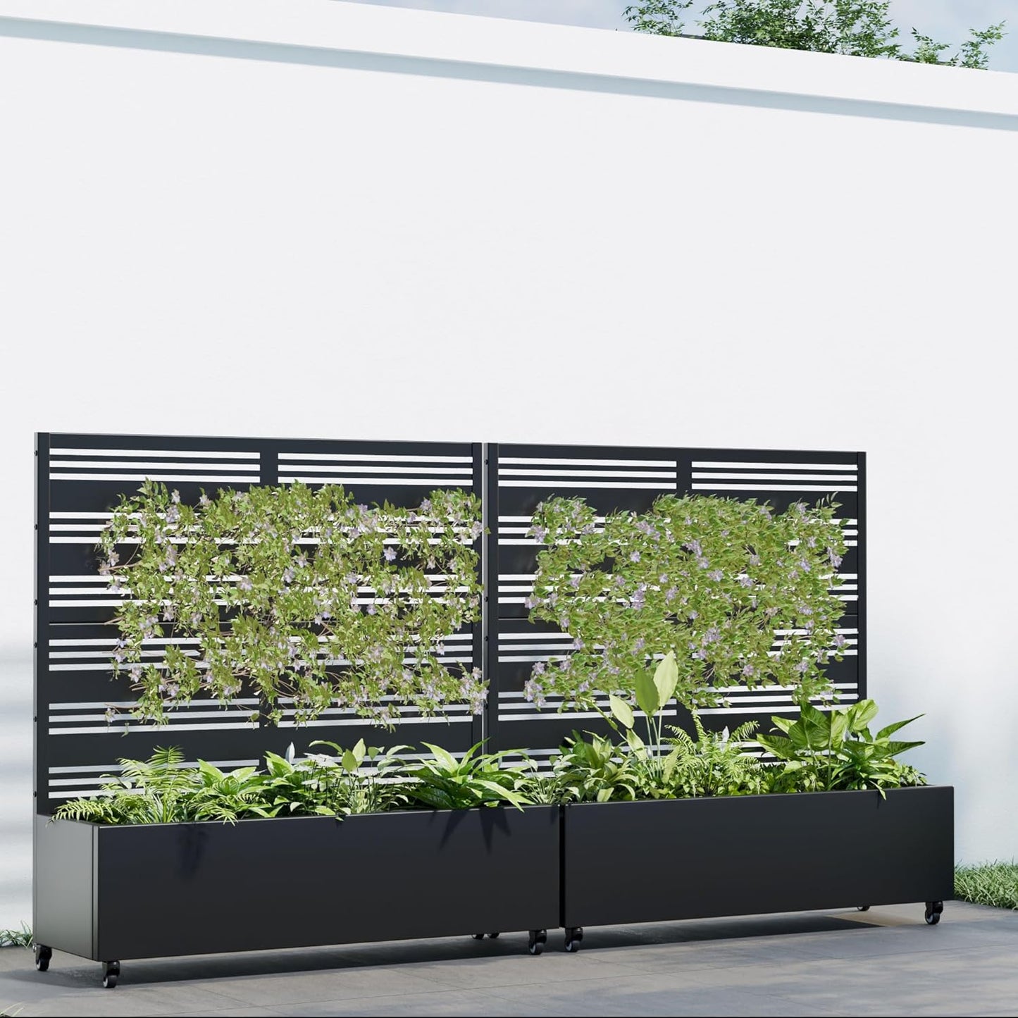 Casaphoria 47"x47" Metal Raised Garden Bed with Trellis(2 Pack), Outdoor Planter Box with Wheels & Drainage Holes for Climbing Plants, Flowers, Elevated Garden Kit with Privacy Screen, Black-Harold