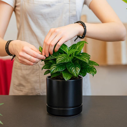 D'vine Dev Set of 2 Plants Pot, 4.7 Inch Ceramic Planter Pot for Plants with Drainage Hole and Saucer, Black, 94-V-B-2