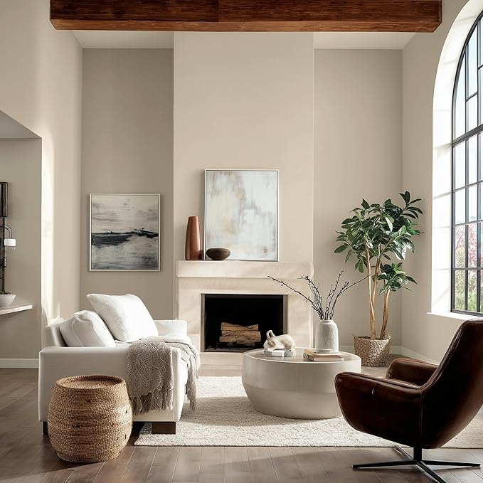 EVOLVE Paint & Primer: Environment-friendly, Low Sheen with One-coat Coverage for Interior & Exterior surfaces (Vanilla White, 5-Gallon)
