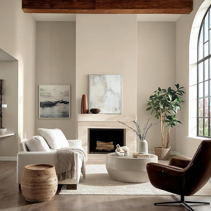 EVOLVE Paint & Primer: Environment-friendly, Low Sheen with One-coat Coverage for Interior & Exterior surfaces (Vanilla White, 5-Gallon)