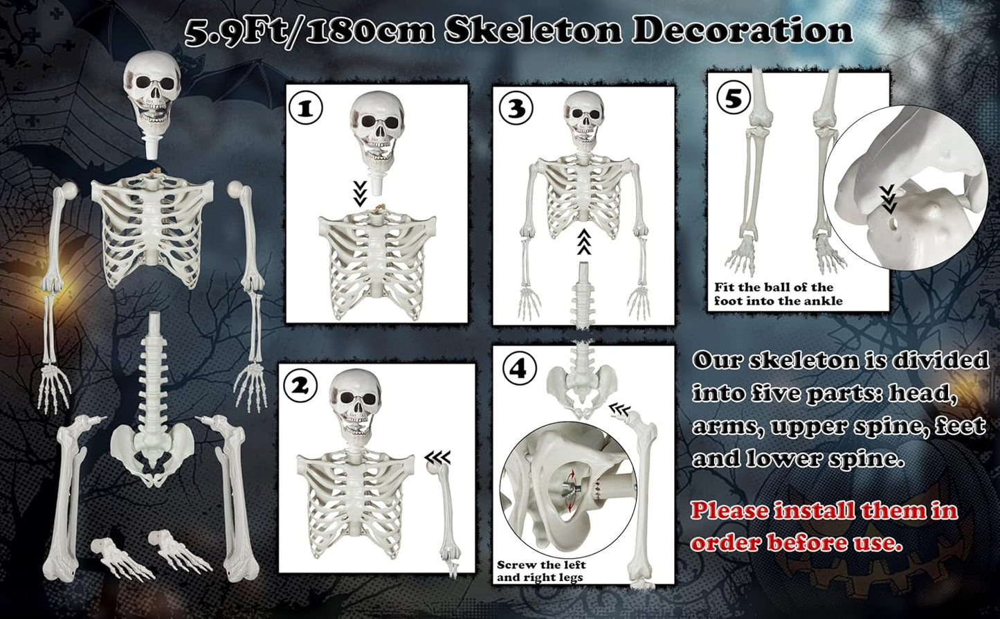 Halloween Skeleton, Realistic Life Size Skeleton with Movable Joints for Halloween Party Haunted House Indoor Outdoor Decoration (5.9ft-1P)