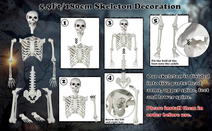 Halloween Skeleton, Realistic Life Size Skeleton with Movable Joints for Halloween Party Haunted House Indoor Outdoor Decoration (5.9ft-1P)