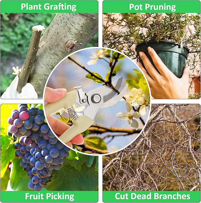 20 Garden Flower Shears Pruning Scissors Heavy Duty Plant Scissors Trimming Garden Clippers Hand Tree Pruner for Yard Gardening Plants Hedge Flower Tree Cutting Secateurs (Beige)