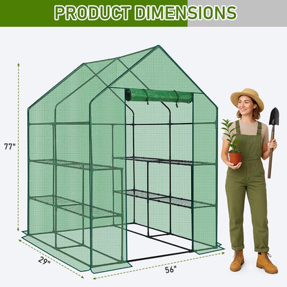 Outvita Walk-in Greenhouse, Outdoor Durable PE Plant Green House for Frost Protection with 3 Tiers 8 Shelves, Shelf Clips, Roll-up Zipper Door, 56"x56"x77" Green