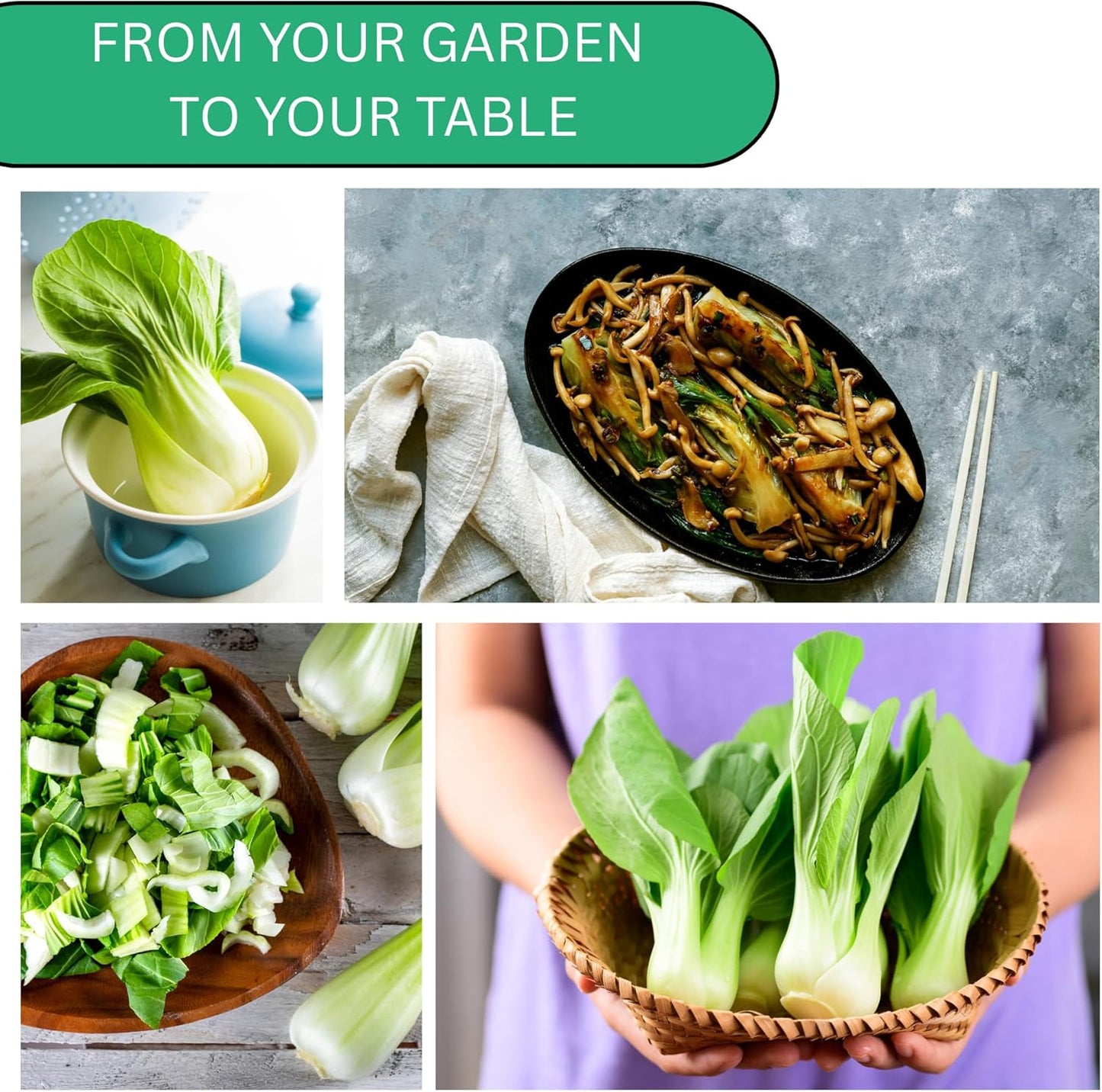 Woods Creek Seeds: Pak Choi White Stem Cabbage Seeds for Planting - Over 700 Heirloom Non-GMO Green Cabbage Seeds - Beginner-Friendly Vegetable Seed for Home, Indoor or Outdoor Gardeners