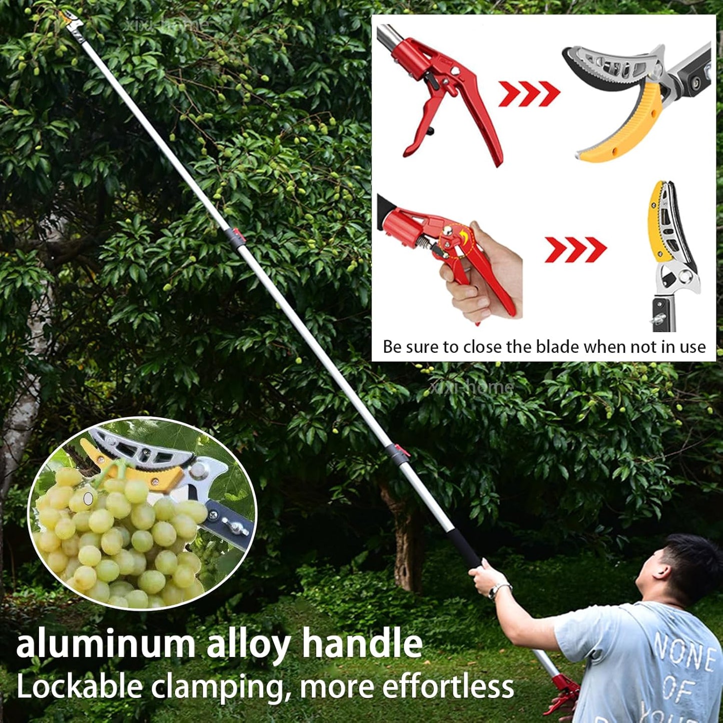 xixi-home Cut and Hold Pruners 4.6-9.8 Ft Long Reach Pole Saw Pruning Shears and Hold Bypass Pruner Extendable Tree Trimmer with Dedicated Serrations Telescoping Fruit Picker
