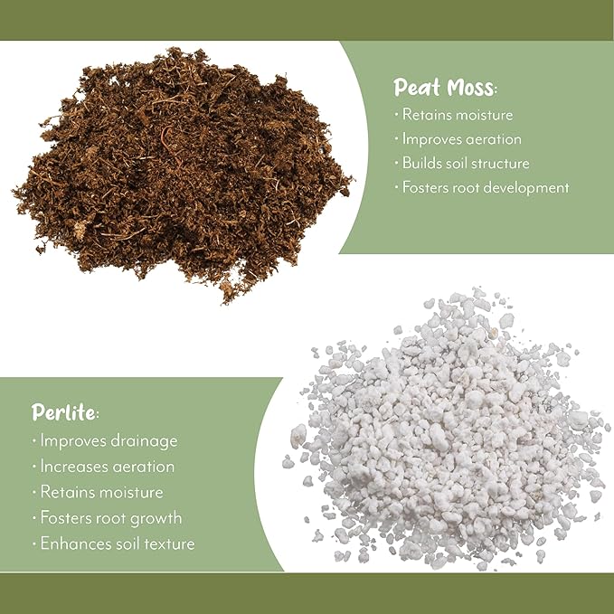Tropical House Plant Potting Mix (2 Quarts); for All Types of Indoor House Plants