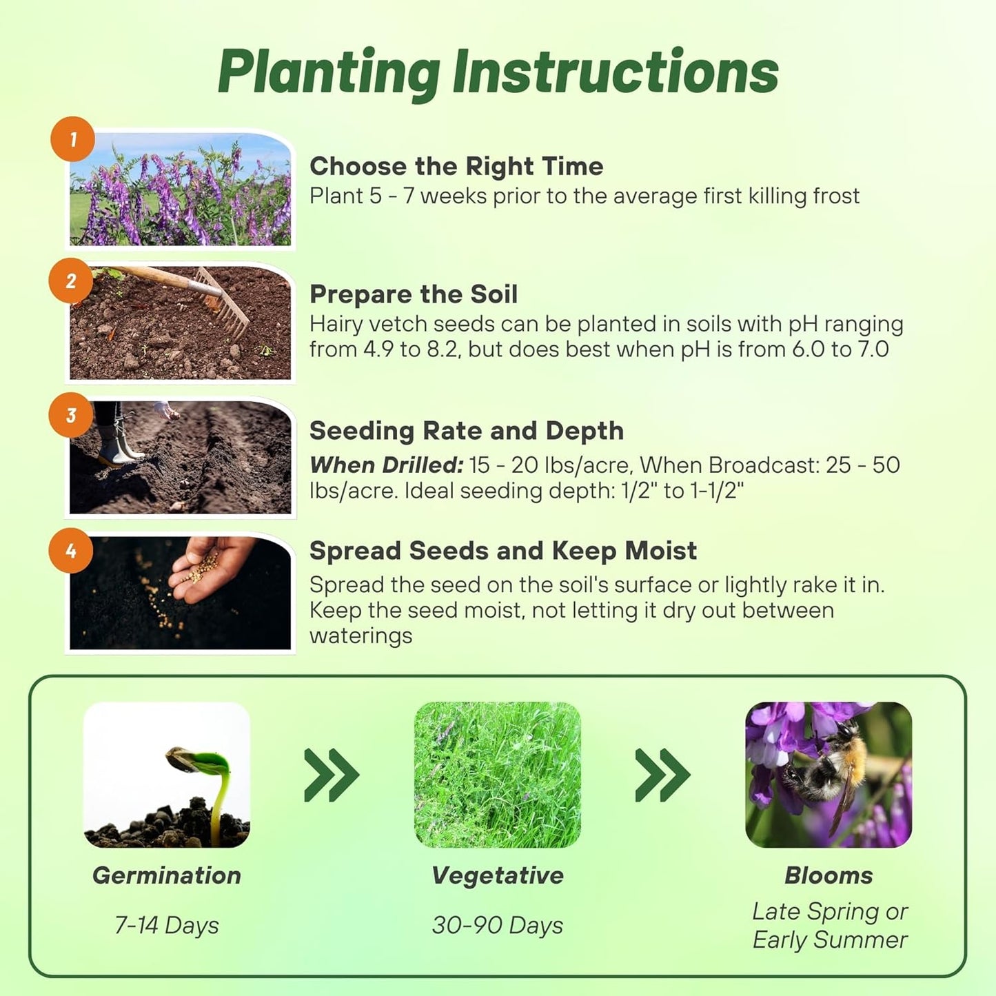 Outsidepride Hairy Vetch Cover Crop Seeds - 10 Lbs Cold Tolerant, Winter Hardy - Ideal for Soil Improvement, Green Pasture, Hay & Livestock Forage - Pollinator Friendly Garden Seeds, Ground Cover