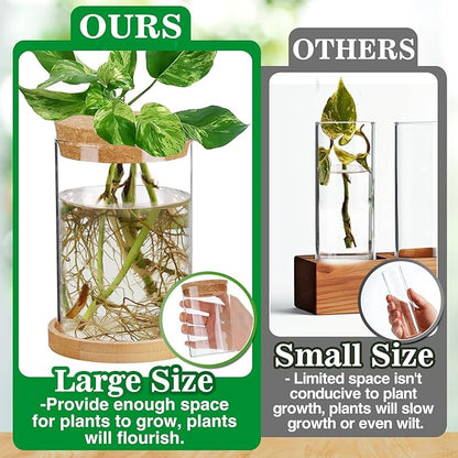 Plants Propagation Station - 2Pcs Desktop Plant Terrarium Glass Hydroponic Vases, Water Plant Propagating Jars, Gardening Gifts for Women Mom Plant Lovers (Thick Straight Shape, Separated Tray Style)