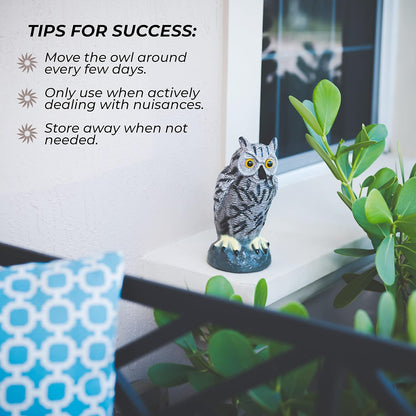 Galashield Owl Decoy to Scare Birds Away | Plastic Owls to Scare Birds Away | Owl Statue for Garden & Outdoors