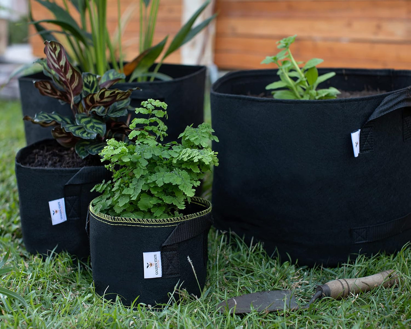 Grow Bags: 5-Pack (Size: 5 Gallon): 300gsm Black Felt Fabric, Biodegradable and eco-Friendly Material. (Handles + Dumping Handles-pat.Pend).