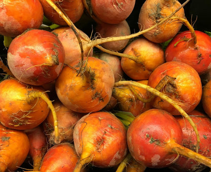 Golden Detroit Beet Seeds for Planting – Plant & Grow Heirloom Golden Detroit Beets in Home Outdoor Vegetable Garden, Beta vulgaris – 5 Packets