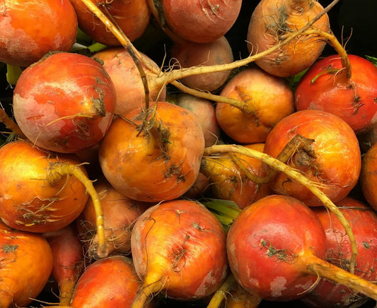 Golden Detroit Beet Seeds for Planting – Plant & Grow Heirloom Golden Detroit Beets in Home Outdoor Vegetable Garden, Beta vulgaris – 5 Packets