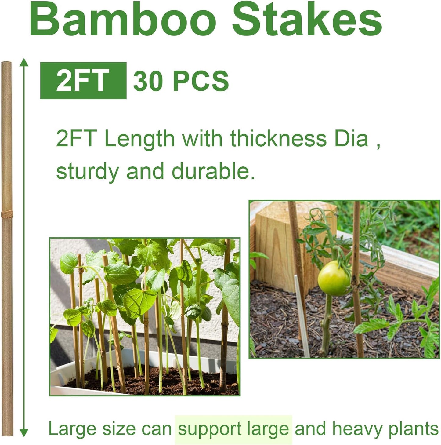 Bamboo Garden Stakes 2ft, 2 Feet Plant Stakes 30 Pack for Outdoor Indoor Plants, Support Tomato, Vegetables Beans, Flowers, Potted and More Climbing Plants