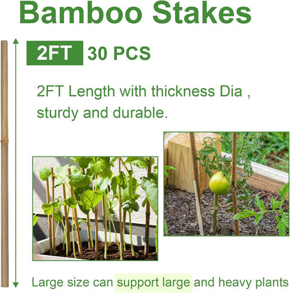 Bamboo Garden Stakes 2ft, 2 Feet Plant Stakes 30 Pack for Outdoor Indoor Plants, Support Tomato, Vegetables Beans, Flowers, Potted and More Climbing Plants