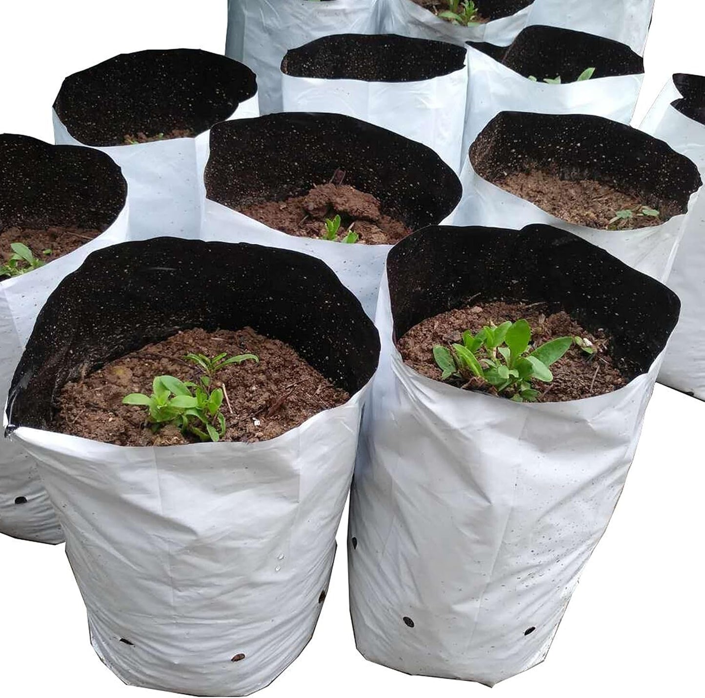 HFS(R Poly Grow Bag Planters Panda Film Black and White for Nursery Horticulture 3 Gallon - 50 PC (Pack of 2)