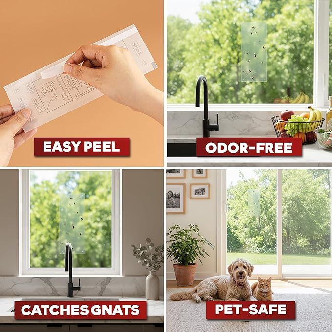 XFasten Window Fly Traps Sticky Clear 50-Pack Fruit Fly Traps for Indoors Sticky, Residue-Free, Odorless, Discreet Adhesive Indoor Catcher for Fruit Flies Houseflies, Gnats on Windows Kitchen Garage