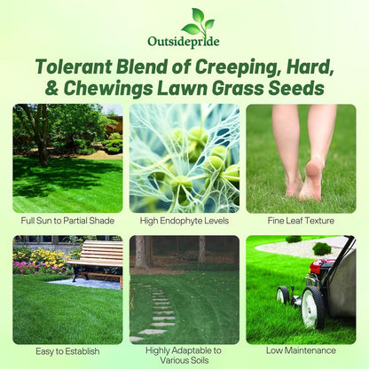 Outsidepride Legacy Fine Fescue Grass Seed Mix - 10 lbs. Shade & Sun Tolerant Blend of Hard Fescue, Chewings Fescue & Creeping Red Fescue with OptiGrowth Coating for Better Establishment