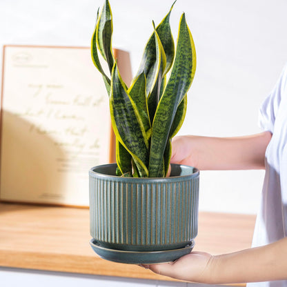 SURE YUESI Ceramic Plant Pots Set of 3, Indoor Outdoor Planters with Drainage Hole and Saucer