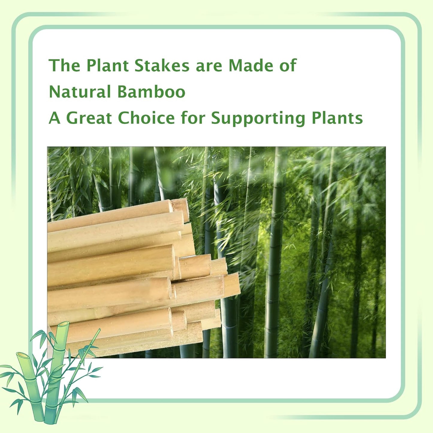 Bamboo Stakes 3FT, Garden Stakes 36 inch, Thicker Sturdy Nutural Plants Support Stakes 25 Pack for Tomatoes, Beans, Flowers, Potted and More Climbing Plants