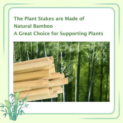 Bamboo Stakes 3FT, Garden Stakes 36 inch, Thicker Sturdy Nutural Plants Support Stakes 25 Pack for Tomatoes, Beans, Flowers, Potted and More Climbing Plants