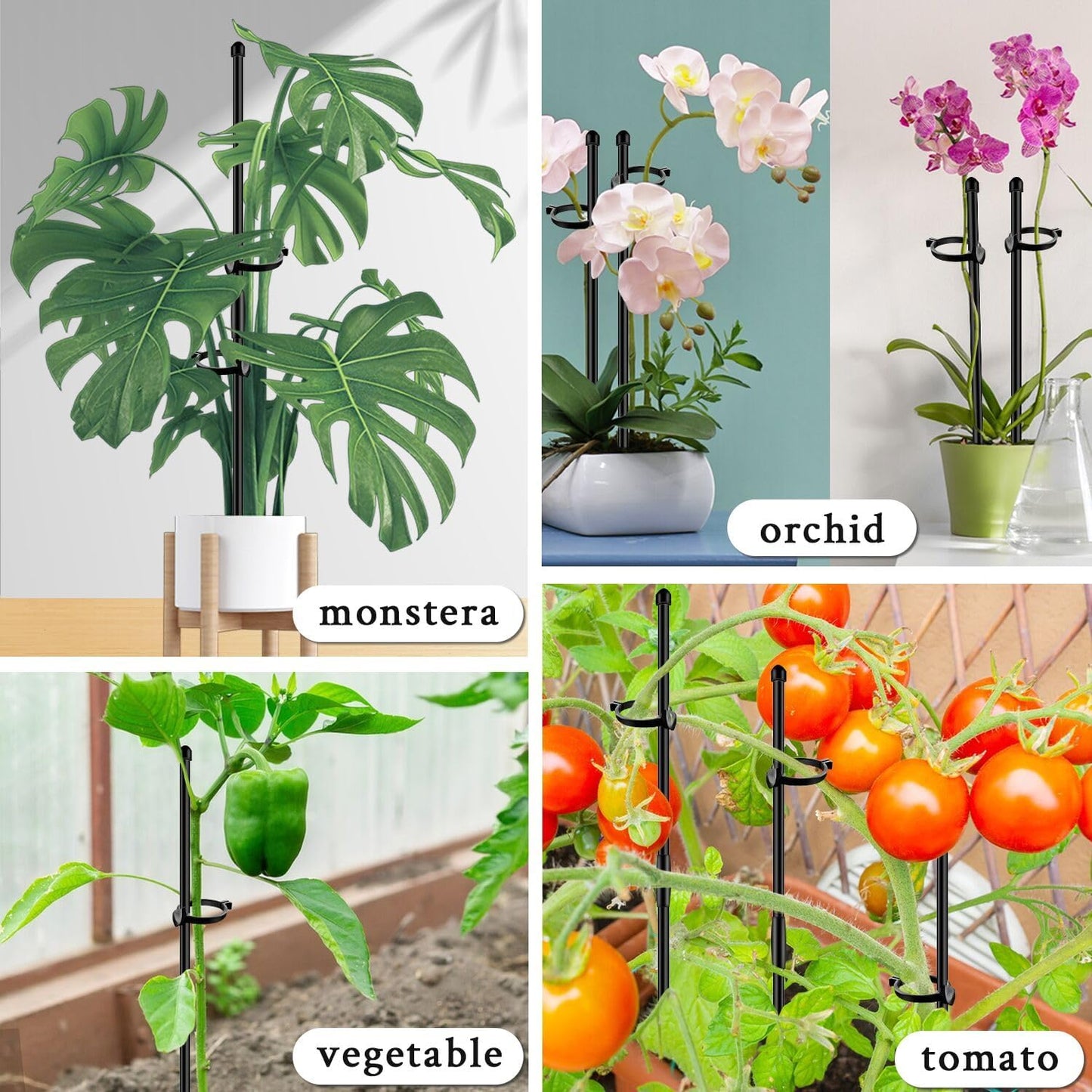 Plant Stakes 17inch &11inch SupKing Adjustable Length Plant Support Stake 16Pcs Black Orchid Stick with Clips for Indoor Outdoor,Garden Pole for Potted Tomato Amaryllis Vegetables with 20 Ties