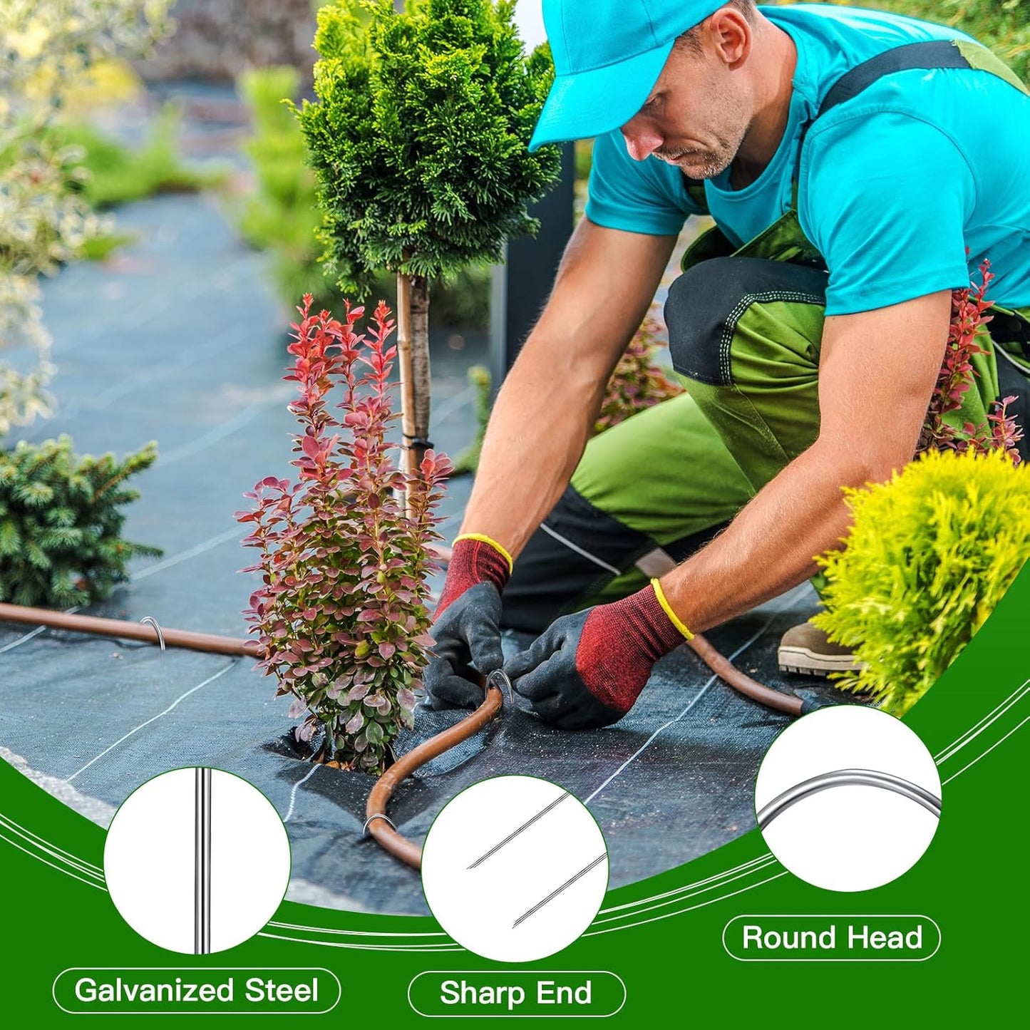Tandefio 200 Pack Drip Irrigation Tubing Stakes 6 Inch Garden Pins Landscape Staples Securing Pegs Galvanized Lawn Yard U Pegs for Hose, Chicken Wire, Weed Barrier Fabric, Dog Fence