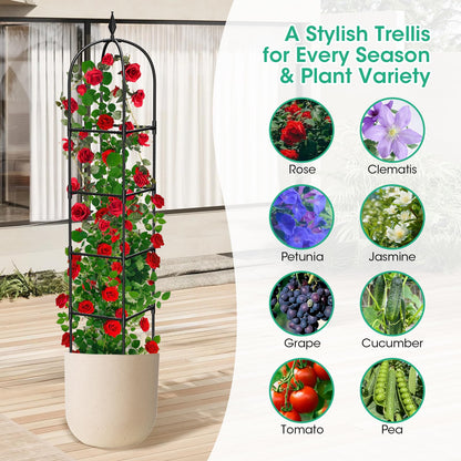 2 Pack Garden Obelisk Trellis for Climbing Plants, 71" Metal Rustproof Plant Support Rose Trellis