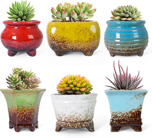 ARTKETTY Succulent Pots - Small Succulent Plant Pot with Drainage Pack of 6, Ceramic Cactus Planter Pots for Indoor Unique Flower Planter Container for Home Office Decor