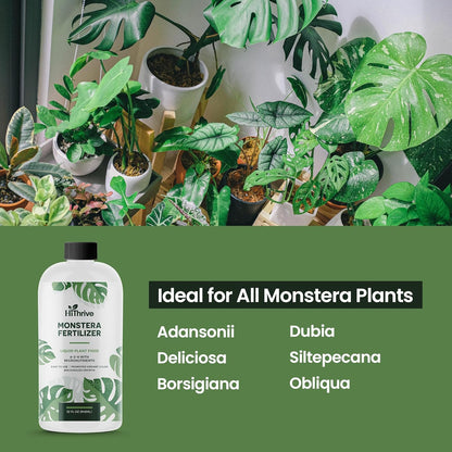 32oz Monstera Plant Food - Makes 192 Gallons of Monstera Fertilizer, Liquid Indoor Plant Fertilizer for Obliqua, Deliciosa and More, 6-2-4 NPK Ratio for Houseplants’ Healthy Growth & Glossy Leaves