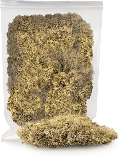 GARDENERA Premium Preserved Reindeer Moss for Potted Plants, Terrariums, Fairy Gardens, Arts and Crafts or Floral Decor Design in Natural (1 Quart Bag)