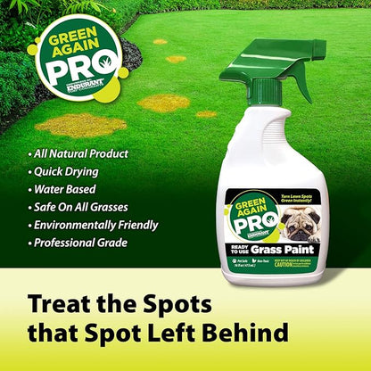 Pre-Mixed Grass and Turf Paint - All Natural Pet-Friendly Lawn Colorant Turns Spots Green Again with Eco-Friendly Point-and-Spray Application (16 oz) (Warm Season Grasses)