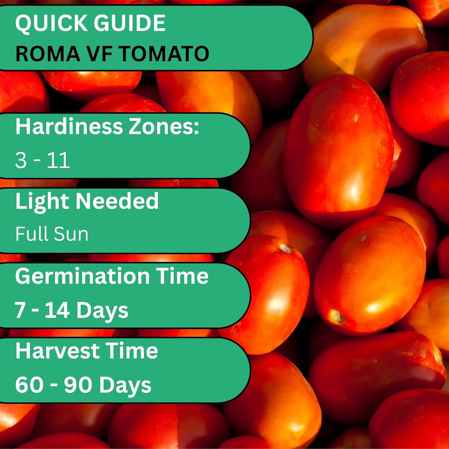 Woods Creek Seeds: Roma VF Tomato Seeds for Planting - Over 350 Heirloom Tomato Seeds for Planting Outdoors, Indoors, Patio or Home Plant Garden - Non-GMO Seed Pack of Tomatoes