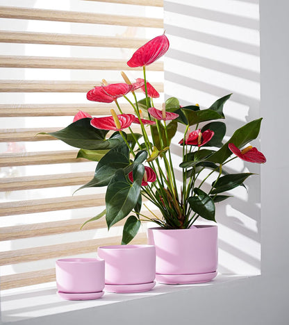 Ton Sin Plant Pots, 4.1+5.1+6.5 inch, Set of 3, Ceramic Planters with Drainage Hole and Saucer, Indoor Flower Pot with Drainage Hole, Gifts for Mom(Matte Pink)