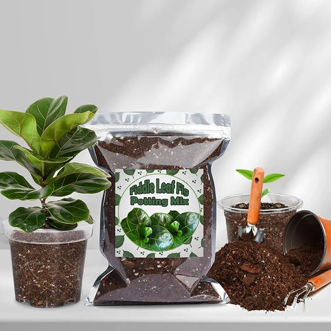 Organic Fiddle Leaf Fig Potting Mix 2qt, Indoor Plants Potting Mix for All Potted Ficus Lyrata Plant, Grow Healthy houseplants Indoors