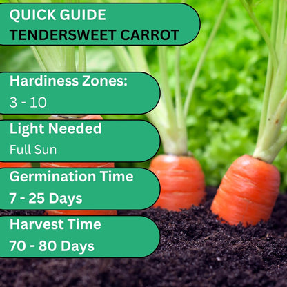 Woods Creek Seeds: Tendersweet Carrot Seeds for Planting - Over 2,900 Heirloom Carrot Seed Pack - Non-GMO Carrots Seeds for Planting Outdoors or Indoors - Beginner Friendly Vegetable Gardening
