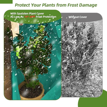 2 Pack Plant Covers Freeze Protection, 75"W x 90"H Winter Frost Blanket 2.36 oz/yd² Fabric Frost Cloth Tree Covers Shrub Jacket Bag with Zipper & Drawstring for Plants Fruit Tree Shrub Potted - Green