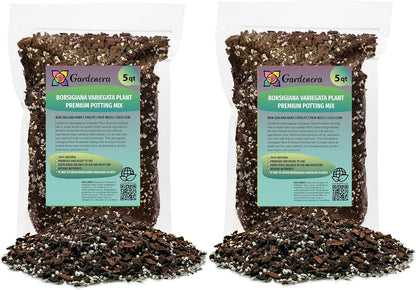 GARDENERA Monstera Borsigiana Planting Mix - Promotes Steady Growth and Vibrant Leaves - 10 Quart (2 Bags of 5 Quart)
