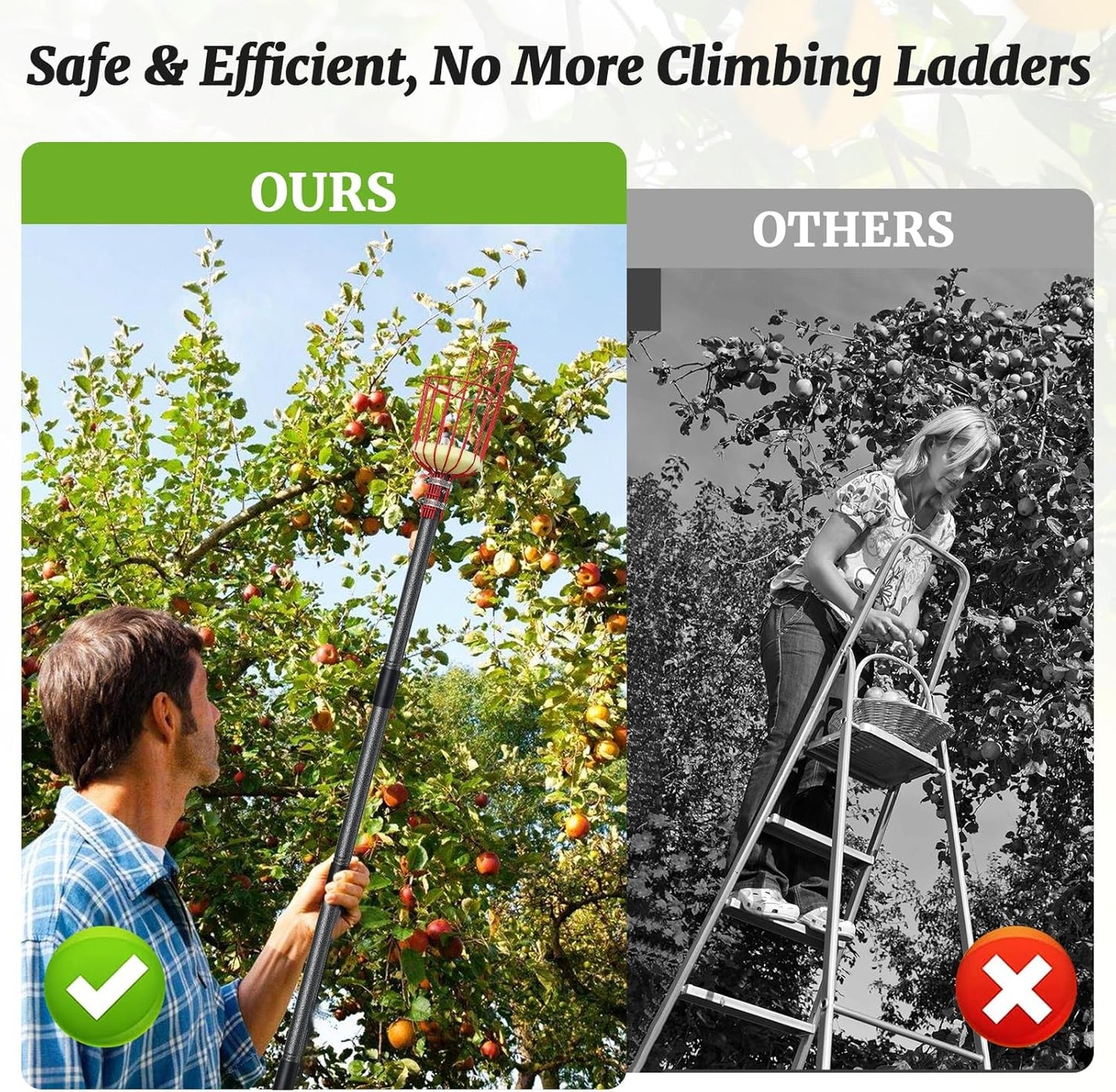 Fruit Picker, Fruit Picker Pole with Basket Extendable Long Handle, Easy to Assemble & Use Fruits Picker Tool for Orange Lemon Apple Mango Avocado (13FT)