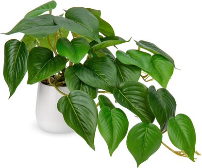 DILATATA Fake Plants Indoor 8 Inch Artificial Pothos Plant in White Ceramic Pot - Faux Potted Pothos Plant for Home Aesthetic Decor Living Room Shelf Office