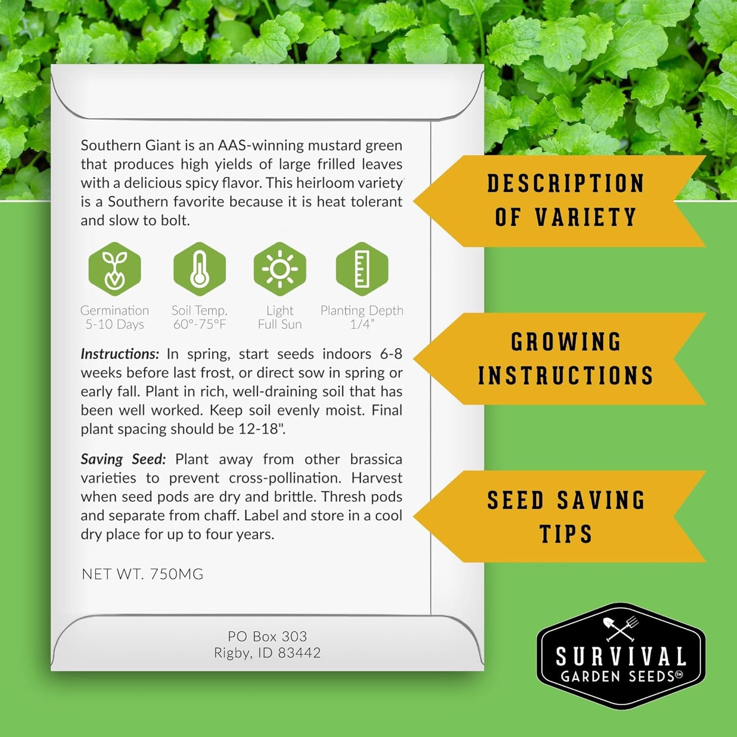 Southern Giant Mustard Green Seeds for Planting – Heirloom Non-GMO Spicy Greens, Heat Tolerant and Slow to Bolt for Home Vegetable Gardens - Survival Garden Seeds (3 Packs)