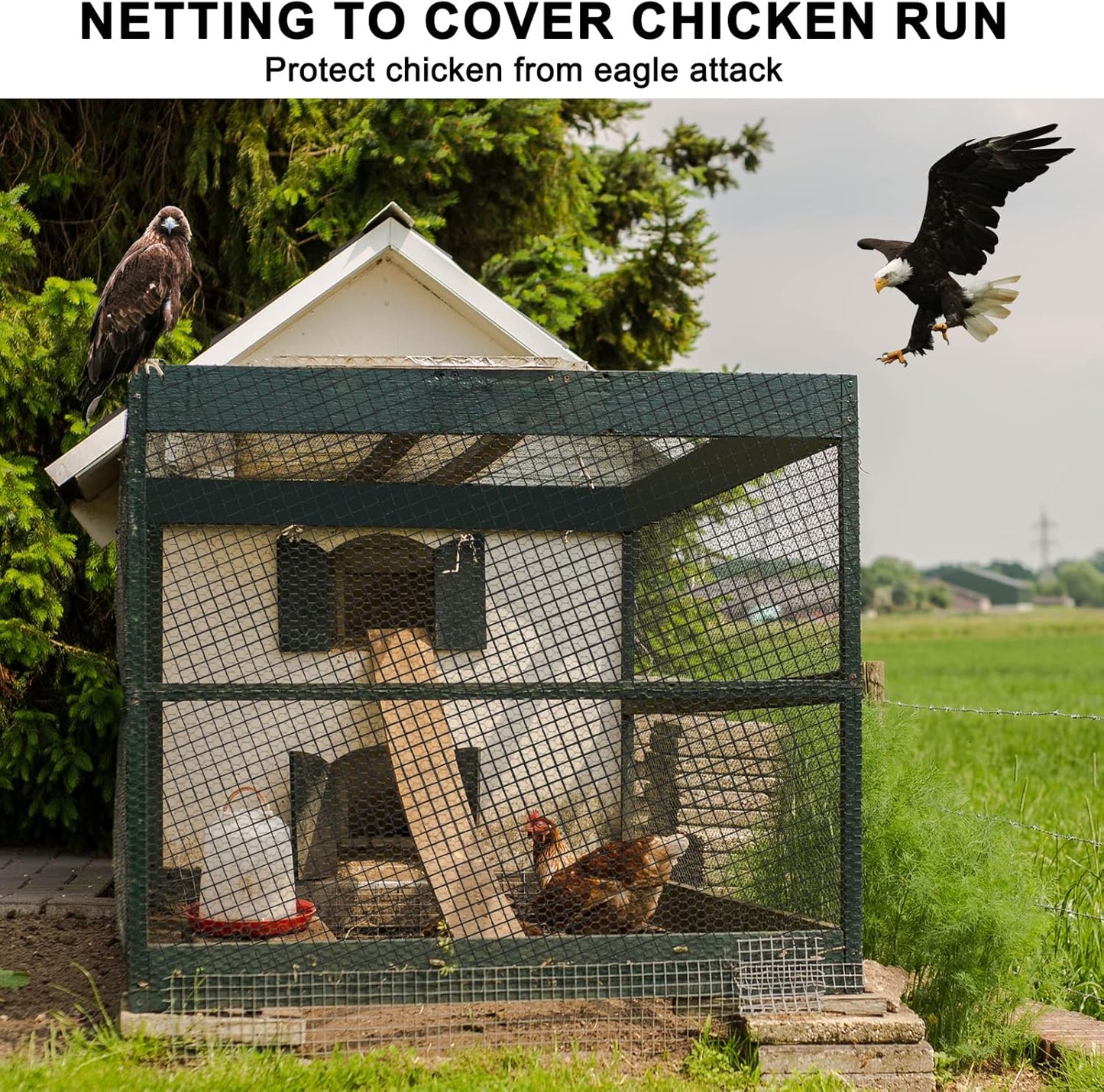Bird Netting 50'x100' with 3/4" Mesh Hawk Net for Chicken Run,Poultry Netting Heavy Duty Nylon Aviary Net for Chicken Coop Roof Garden Nettings for Fruit Trees Plant