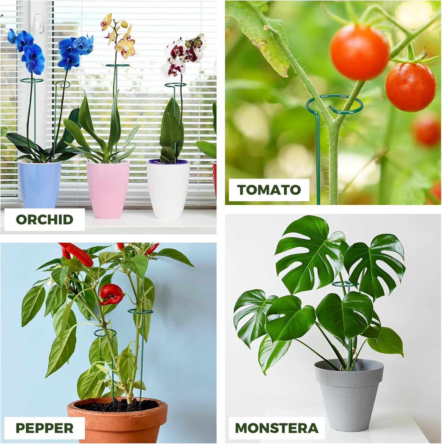 Kingsyard 5 Pack Plant Stakes and Supports - 4.5mm Thick Adjustable Sizes 16 or 32 Inch, Metal Monstera Plant Supports for Outdoor Plants and Indoor Plants, Plant Stem Support for Flowers Tomatoes