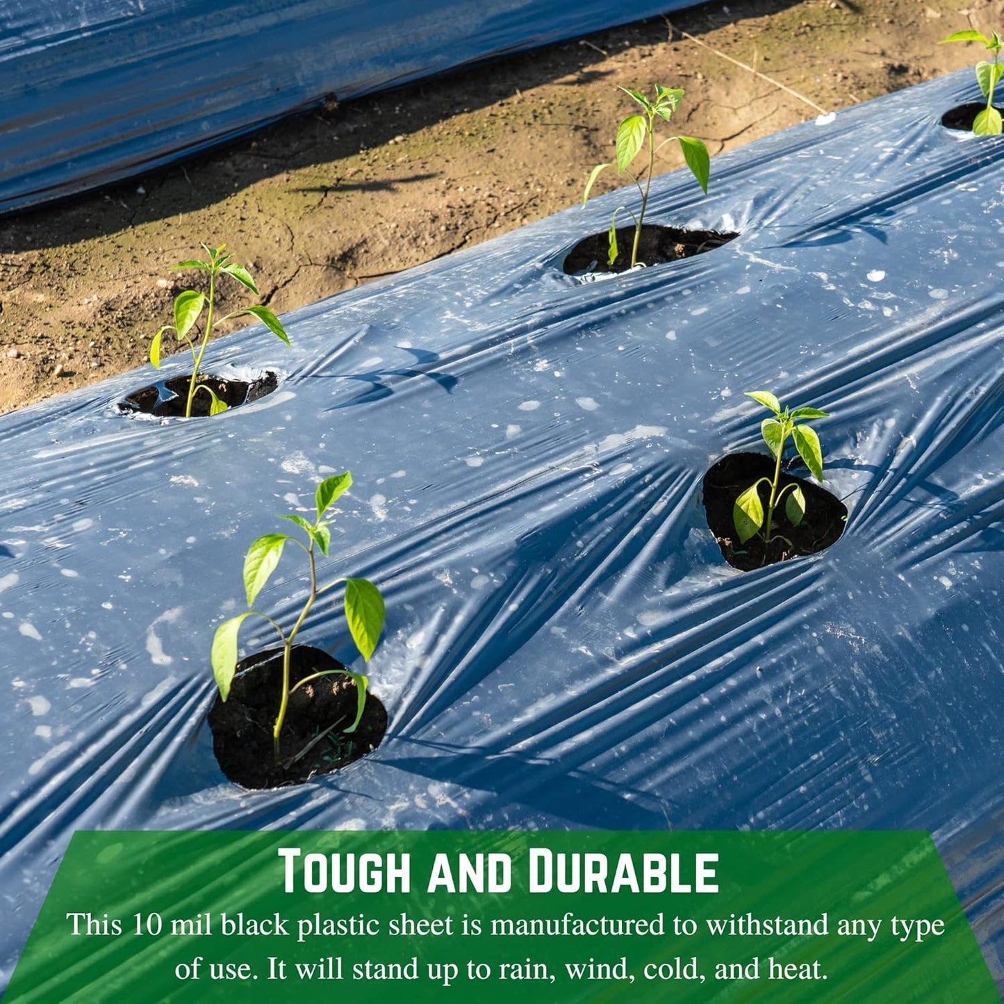 Farm Plastic Supply - Black Plastic Sheeting - 10 mil - (2.5' x 100') - Polyethylene Vapor Barrier Plastic Tarp, Black Painters Tarp, Heavy Duty Roll