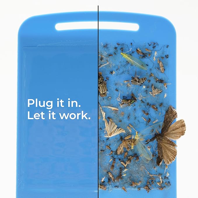 Wondercide - Flying Insect and Fly Trap - Indoor Bug Catcher for Fruit and House Flies, Gnats, Moths, and Mosquitoes - Starter Kit for Home and Kitchen - 1 Plug-in Light and 1 Cartridge