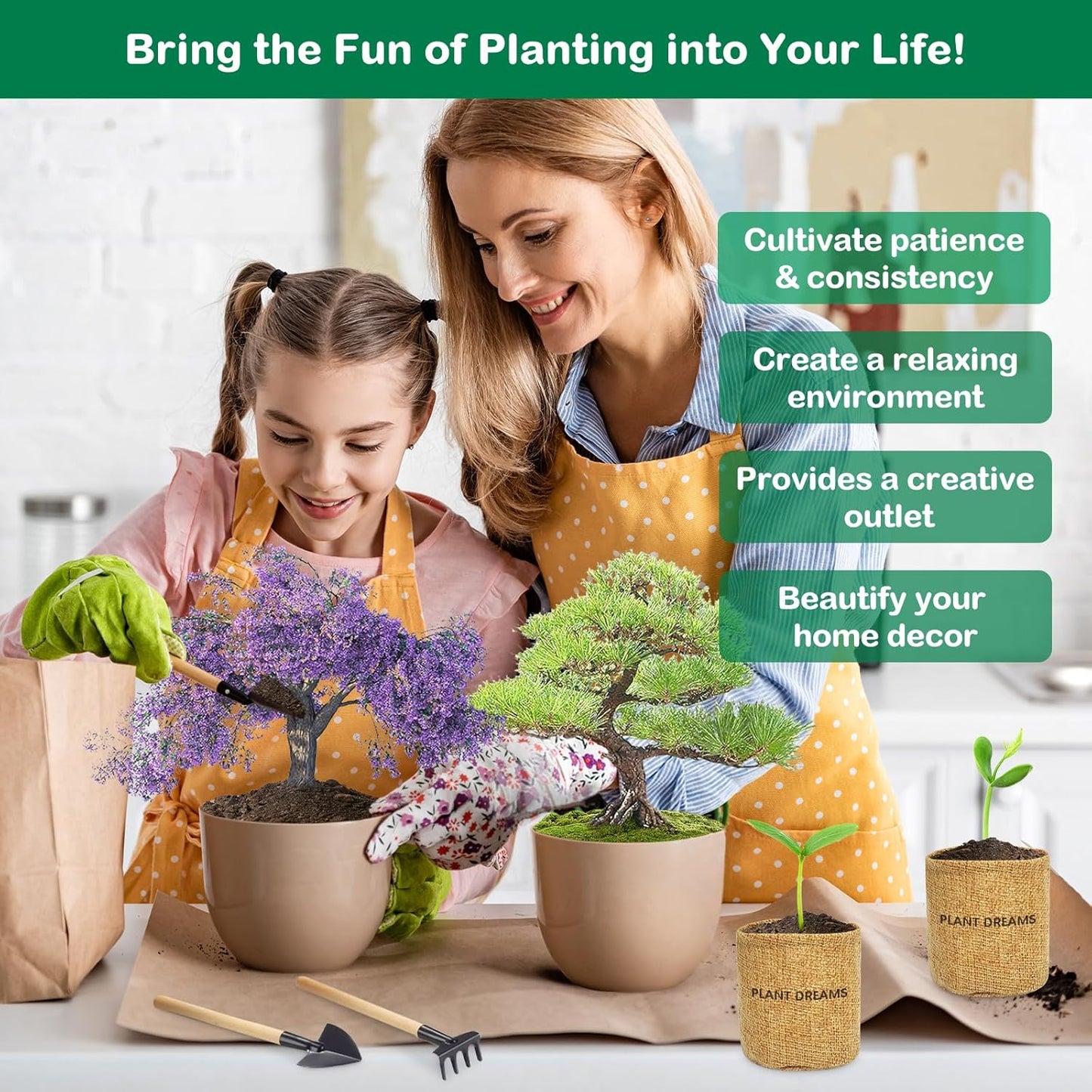 Bonsai Tree Kit, Complete Bonzai Tree Starter Kits with Tools, Unique DIY Gardening Gifts for Mom Women Men, Crafts Hobby Kits, Grow Bonsai Tree Live Indoor