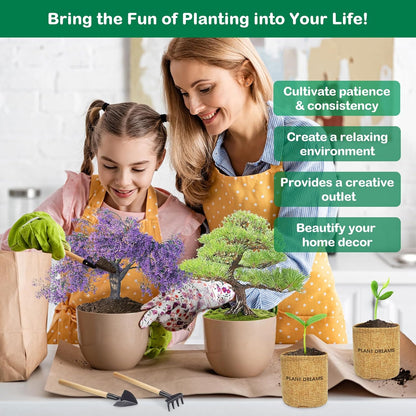 Bonsai Tree Kit, Complete Bonzai Tree Starter Kits with Tools, Unique DIY Gardening Gifts for Mom Women Men, Crafts Hobby Kits, Grow Bonsai Tree Live Indoor