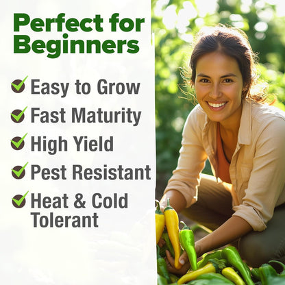 HOME GROWN Banana Pepper Seeds 2 Pack (Capsicum annuum) – 188 𝗡𝗢𝗡-𝗚𝗠𝗢, 𝗨𝗦𝗔-𝗦𝗢𝗨𝗥𝗖𝗘𝗗 Heirloom Seeds, High Germination Vegetable Seeds – Growing Sweet Banana Peppers Indoors or Garden
