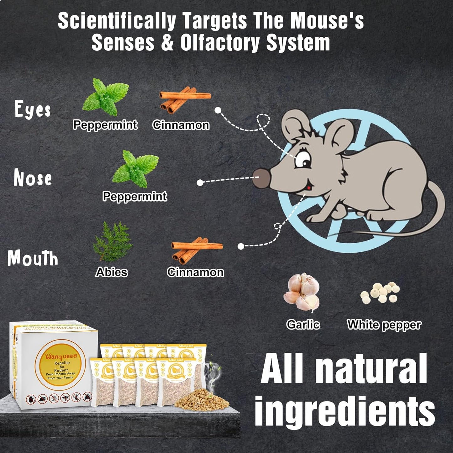 Natural Mouse Repellent Pouches with Peppermint Oil - Indoor Outdoor Rodent Repellent Deterrent for Home Garage Car - 10 Pack Effective Mice Control Safe for Pets and Kids