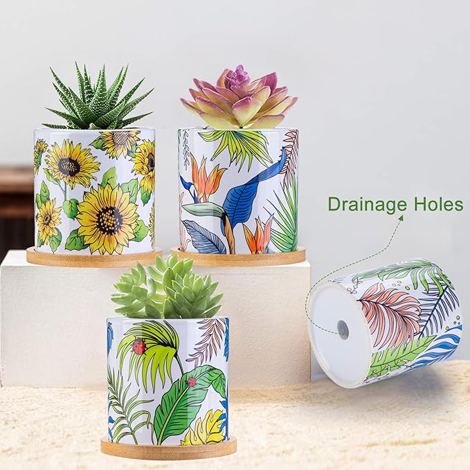 Succulent Pots for Plants, 3.1 Inch Ceramic Planter Pot with Drainage Holes and Bamboo Tray, Home Decor, Set of 6 - Plants Not Included